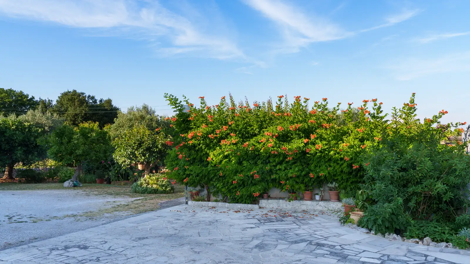 Trulli Papavero Locorotondo