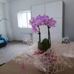 Casetta Girasole - Trulli Fioriti