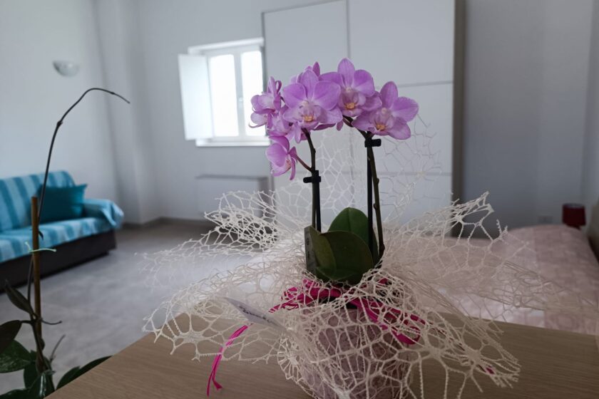 Casetta Girasole - Trulli Fioriti