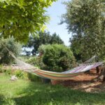 Casetta Girasole - Trulli Fioriti