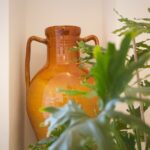 Trulli Papavero - Trulli fioriti