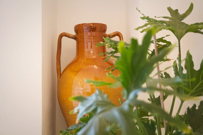 Trulli Papavero - Trulli fioriti